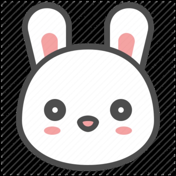 northernrabbit